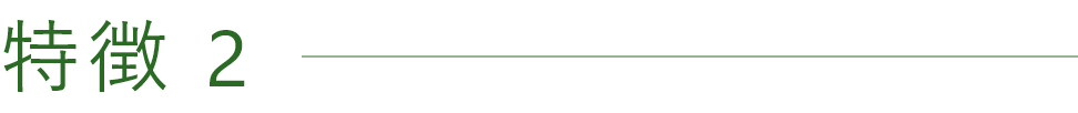 特徴2
